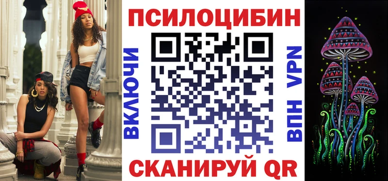 Купить закладки  Никольское  Псилоцибиновые грибы MAGIC MUSHROOMS 