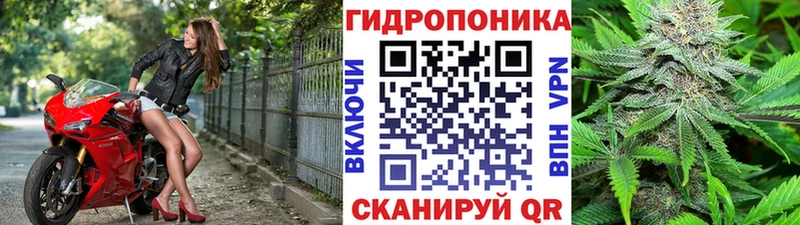 Купить  Никольское  МАРИХУАНА AK-47 